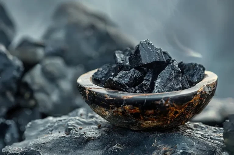 Shilajit image illustration